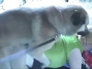 Hot zoophile is sucking a dick