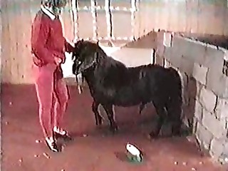 Small pony and a filthy zoophile